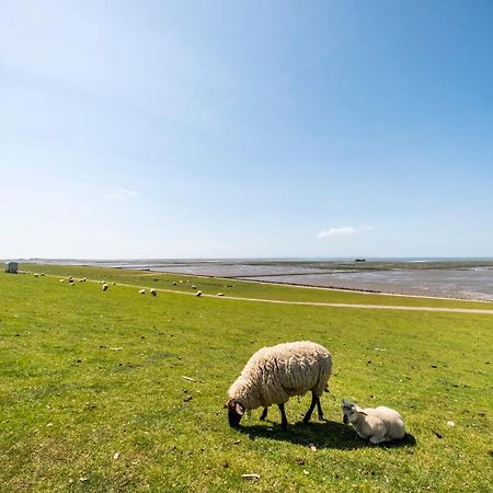Hotel, Restaurant, Cafe Pharisaeerhof - Nordseeurlaub Mit Hund Nordstrand Exteriör bild