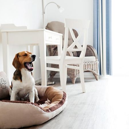 Hotel, Restaurant, Cafe Pharisaeerhof - Nordseeurlaub Mit Hund Nordstrand Exteriör bild