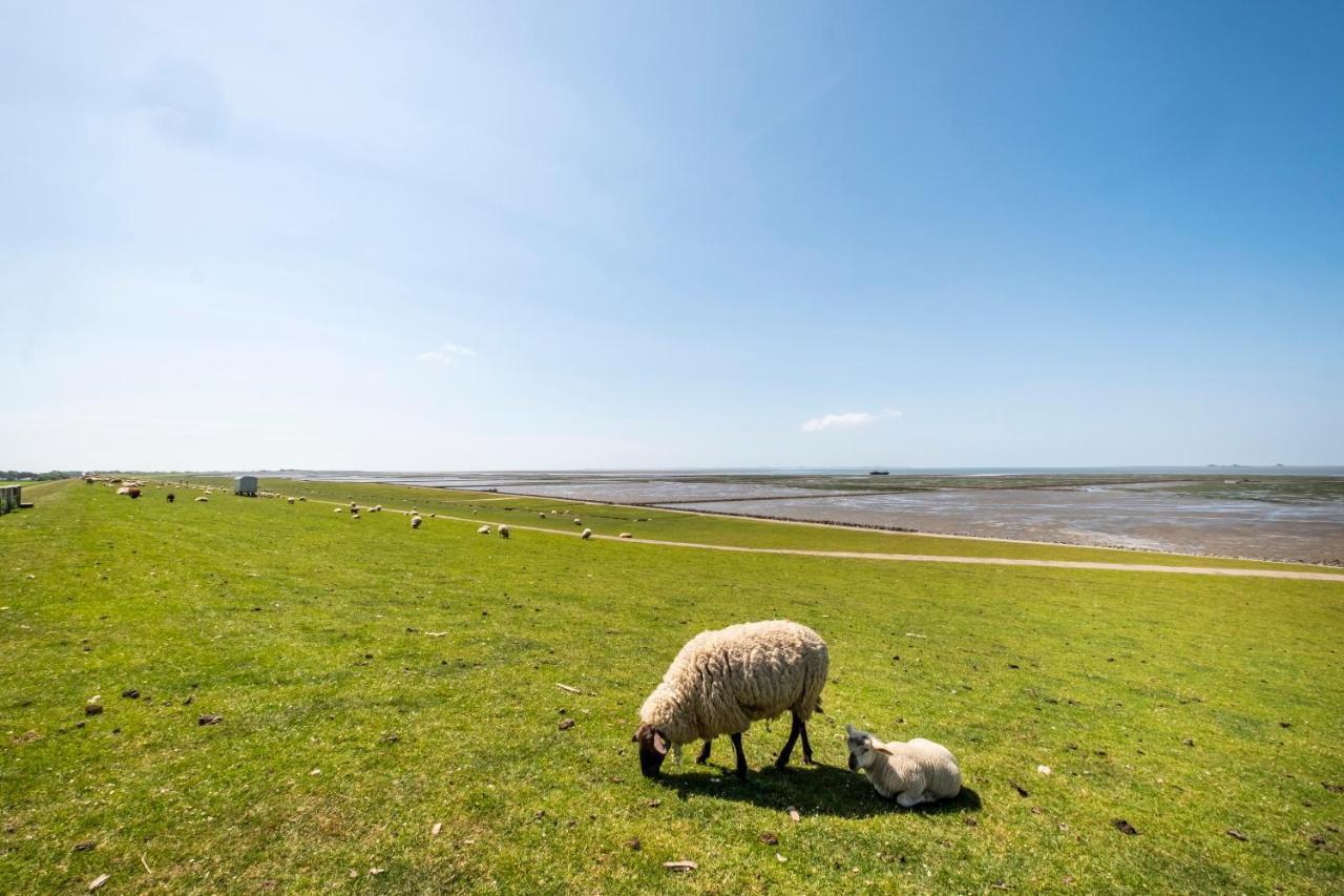 Hotel, Restaurant, Cafe Pharisaeerhof - Nordseeurlaub Mit Hund Nordstrand Exteriör bild