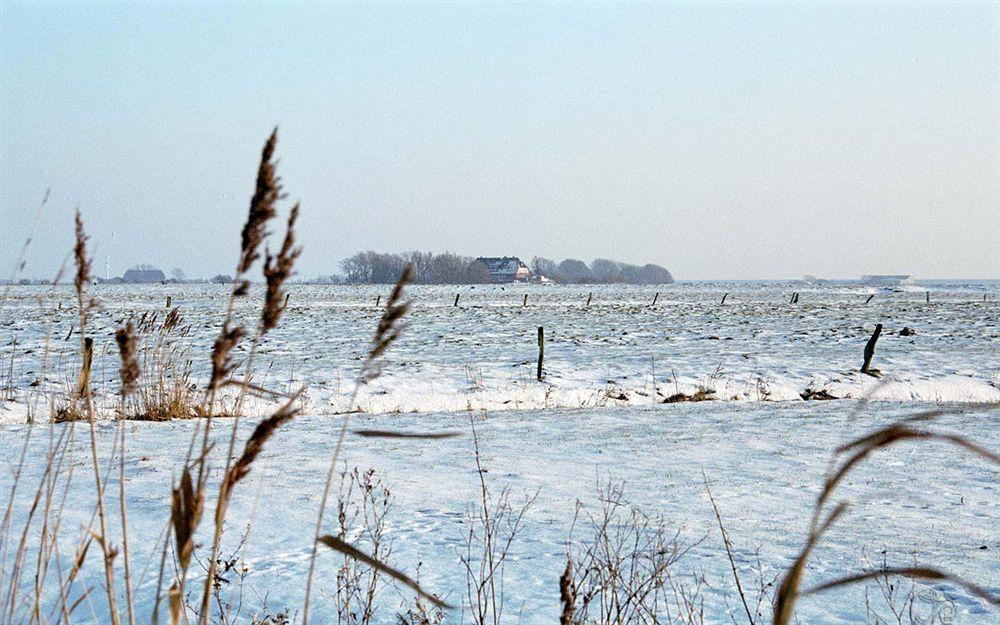 Hotel, Restaurant, Cafe Pharisaeerhof - Nordseeurlaub Mit Hund Nordstrand Exteriör bild
