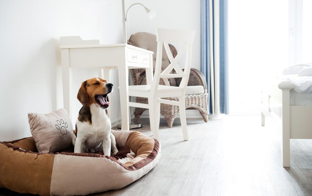 Hotel, Restaurant, Cafe Pharisaeerhof - Nordseeurlaub Mit Hund Nordstrand Exteriör bild