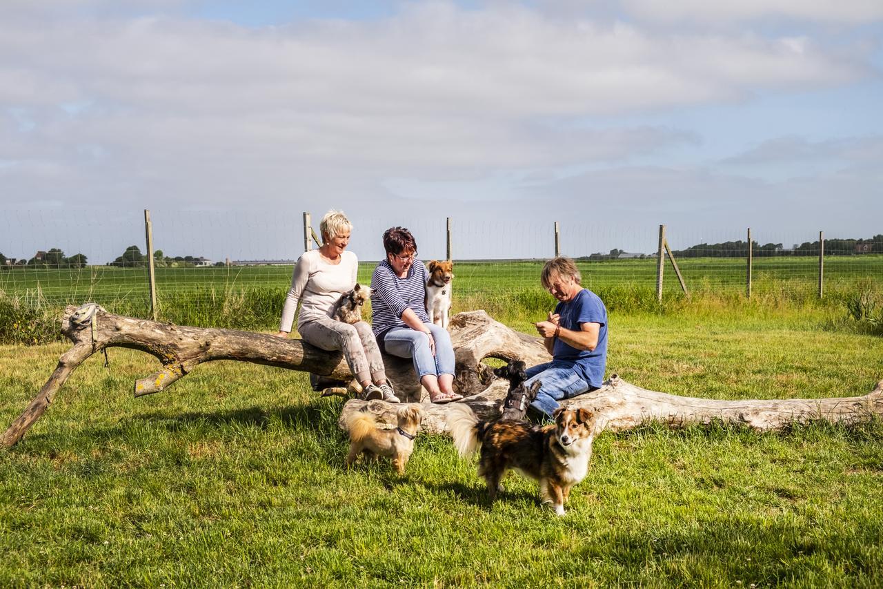Hotel, Restaurant, Cafe Pharisaeerhof - Nordseeurlaub Mit Hund Nordstrand Exteriör bild